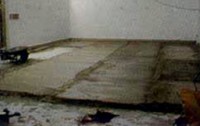 /album/micaexpandedtkw/a04-jpg/